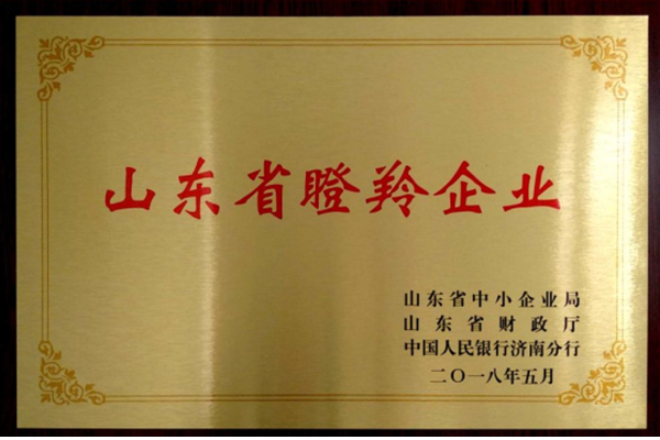 山東省瞪(deng)羚企業